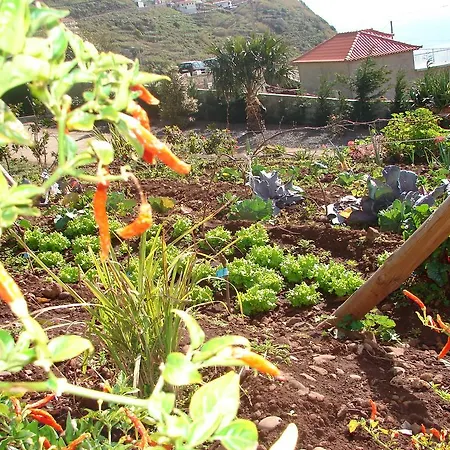 Quinta Vista Mar Do Arco * Calheta (Madeira)